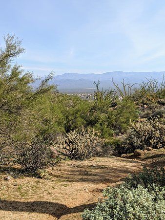 Fountain Hills McDowell Preserve Trails